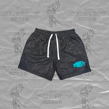 Load image into Gallery viewer, Dynasty Nylon Shorts
